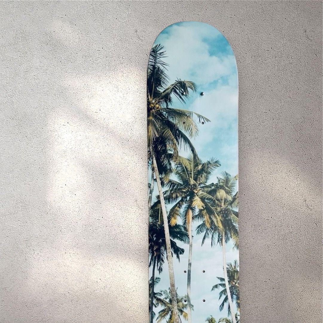 Cuadro Mural Tabla Skate Palmeras-3