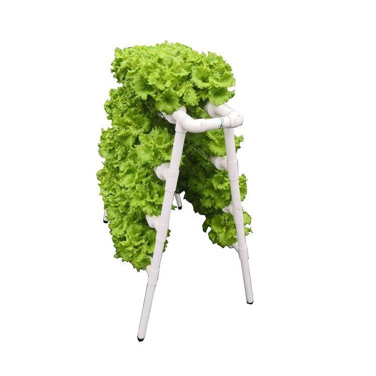 Cultivo Hidropónico Para 72 Plantas-2