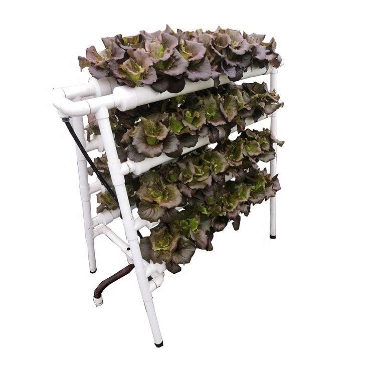 Cultivo Hidropónico Para 72 Plantas-3