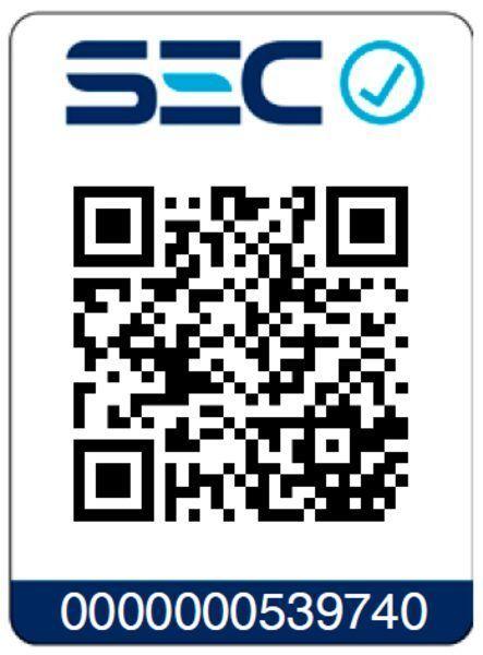 Apliqué de Pared Eglo Chiappera acero exterior 1X40W IP44 900287-3