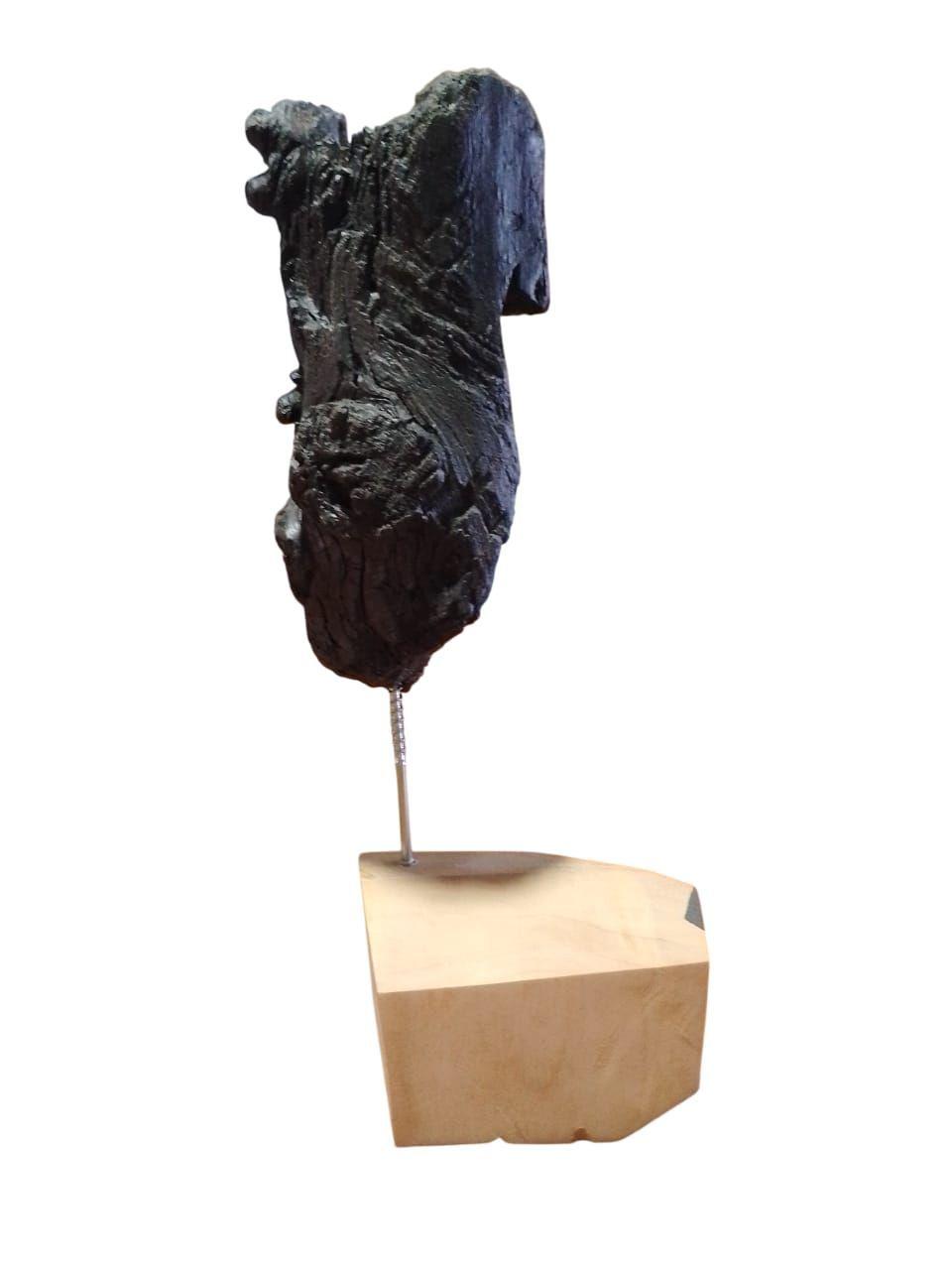 Estatuilla, Figura, Tronco Decorativo 11-2