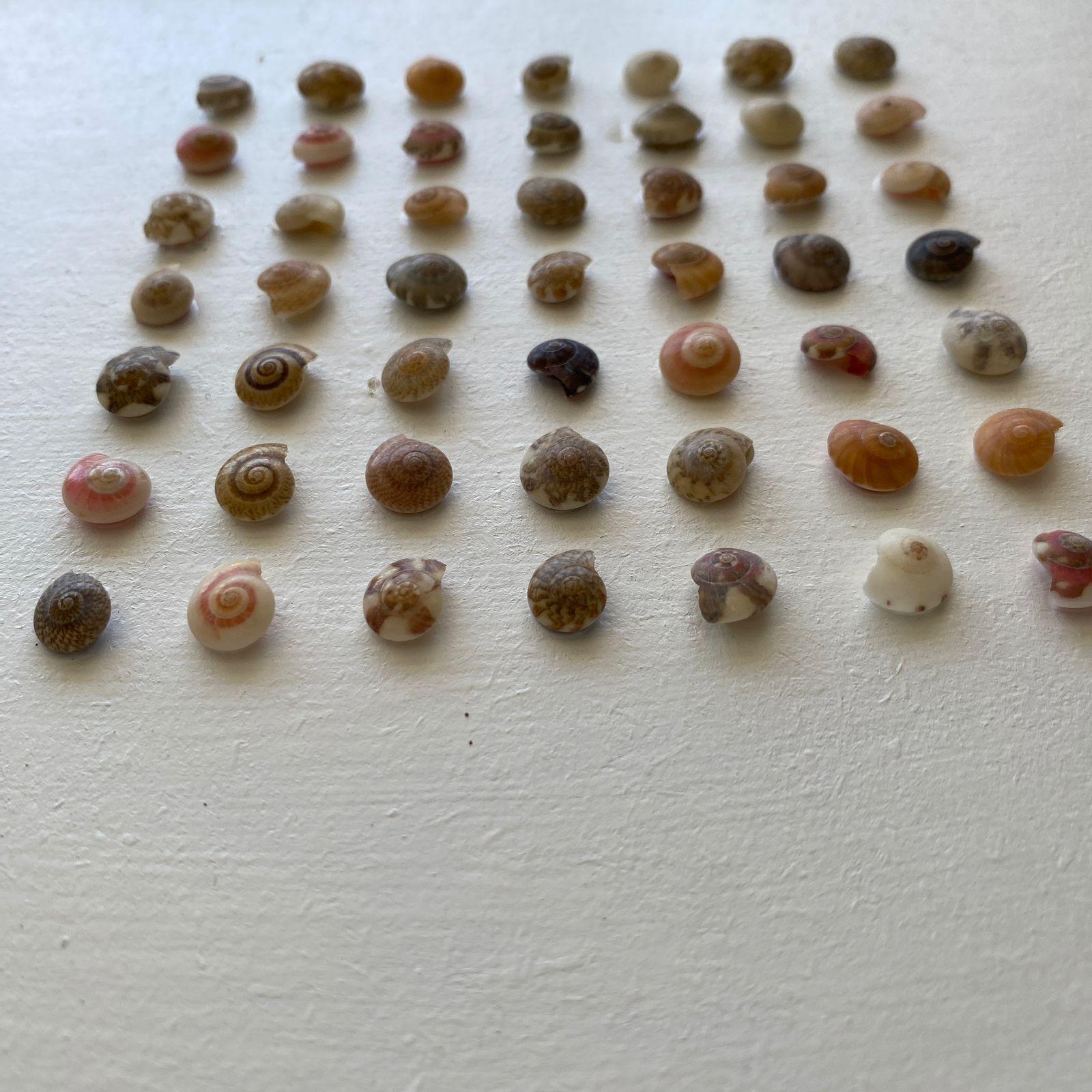 Cuadro Decorativo Marina 30x30 Cm Modelo Conchitas -5