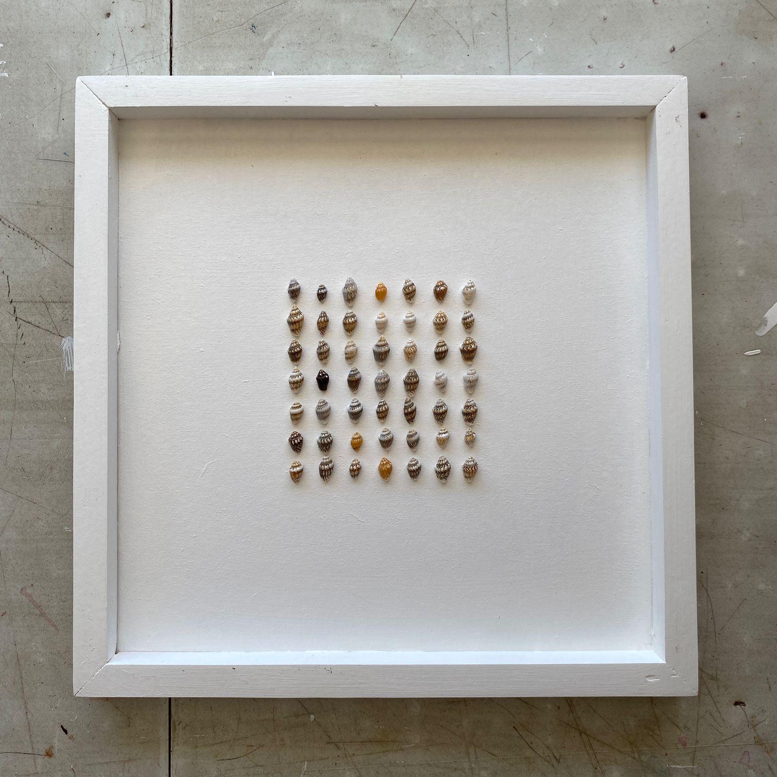 Cuadro Decorativo Marina 30x30 Cm Modelo Conchitas -6