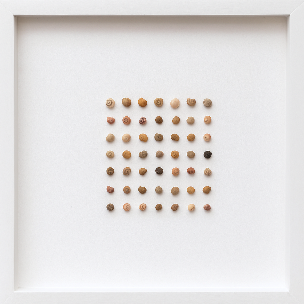 Cuadros Decorativos "Esencia Marina" – Artesanía  en Conchas Naturales (30X30)-0