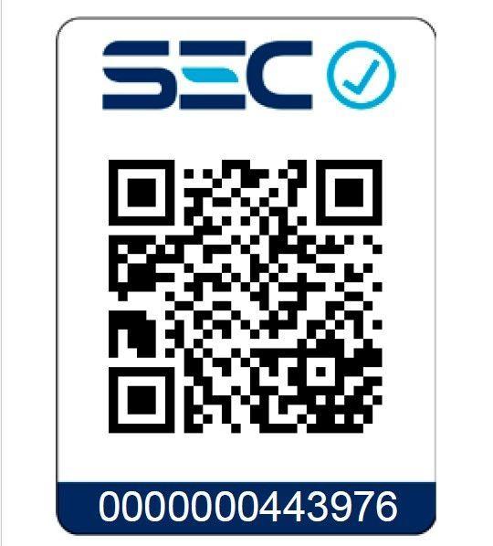 Generador Eléctrico A Gasolina GDA11050E 7900w 17.5hp Daewoo-4