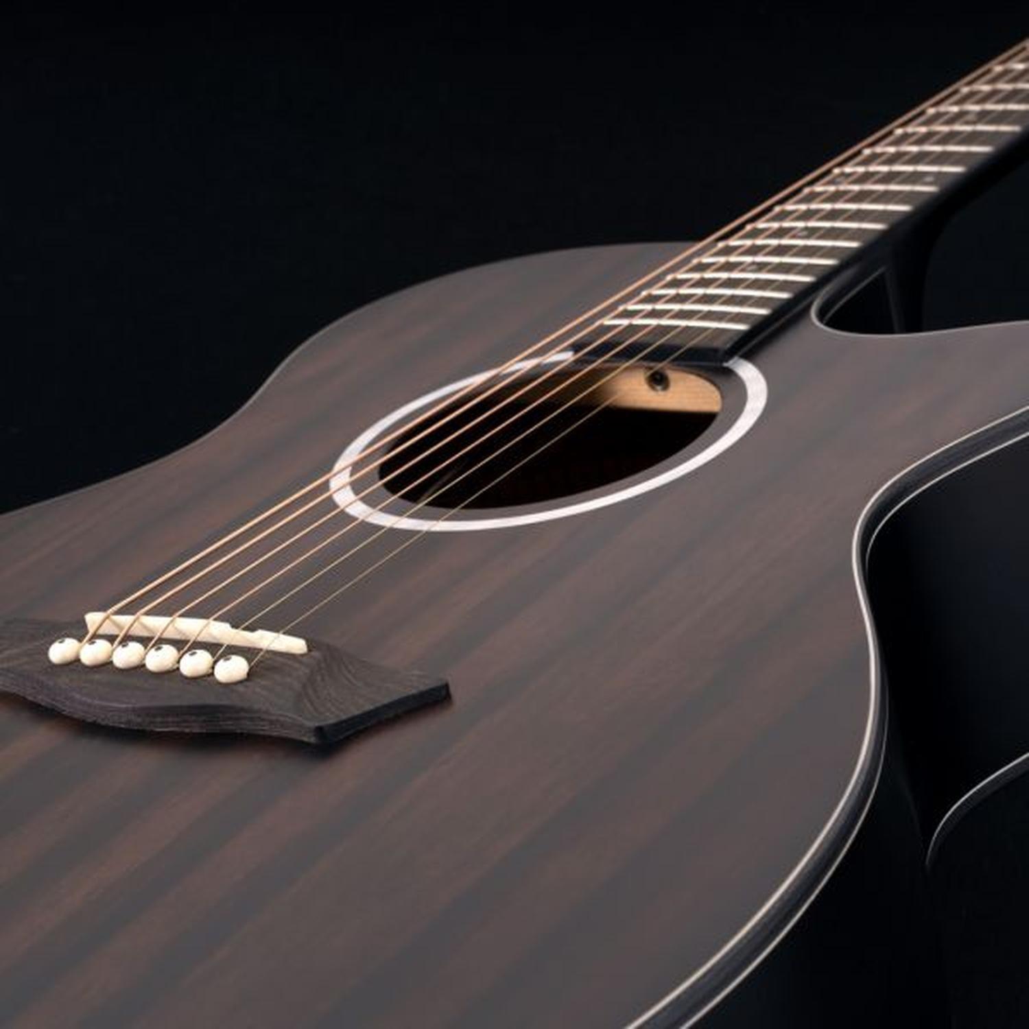 Guitarra Electroacústica Washburn DFEACE, Deep Forest Ebony Ace-1