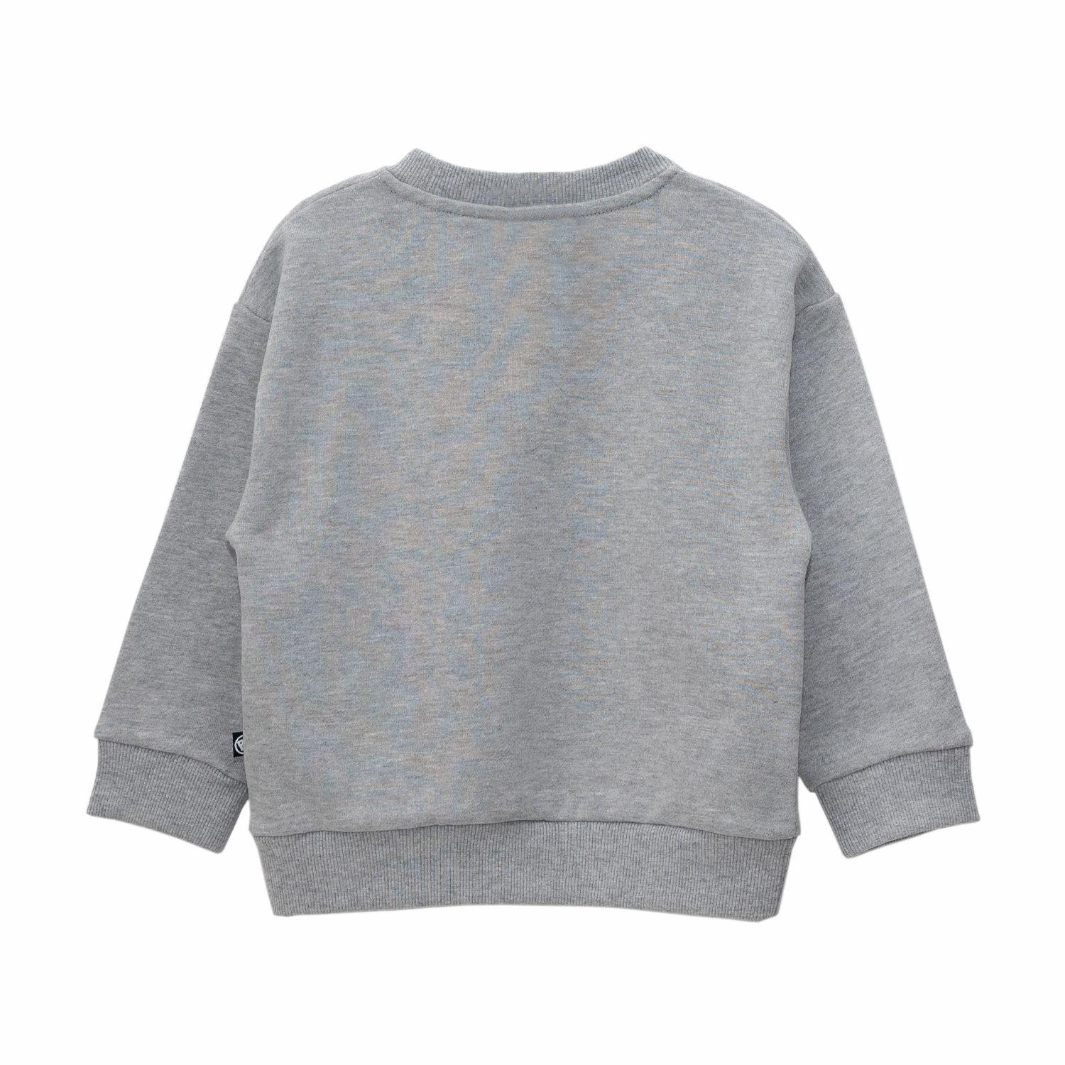 Polerón Niño Bubblegummers Roble Gris-1