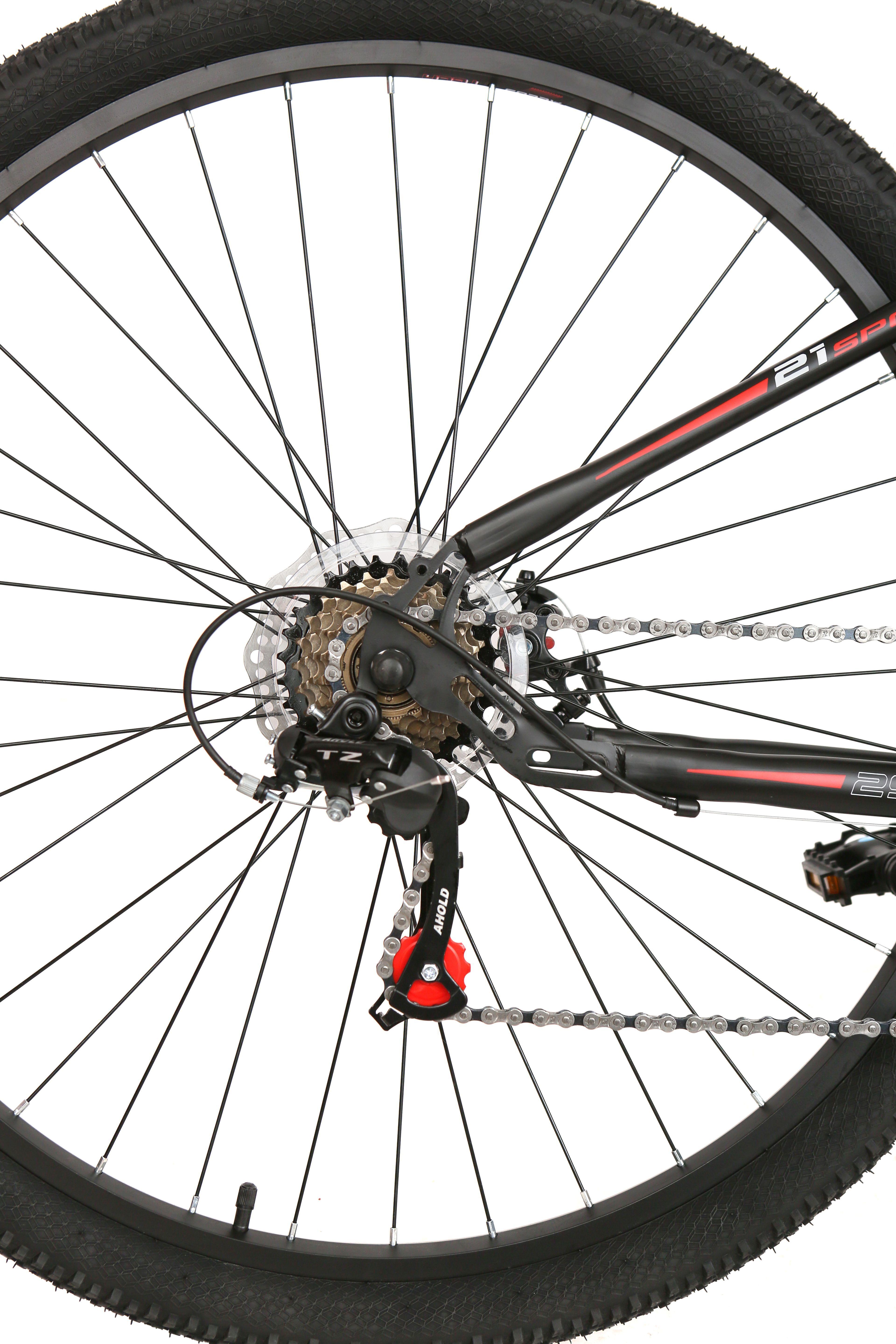 Bicicleta Phelton Aro 29-3