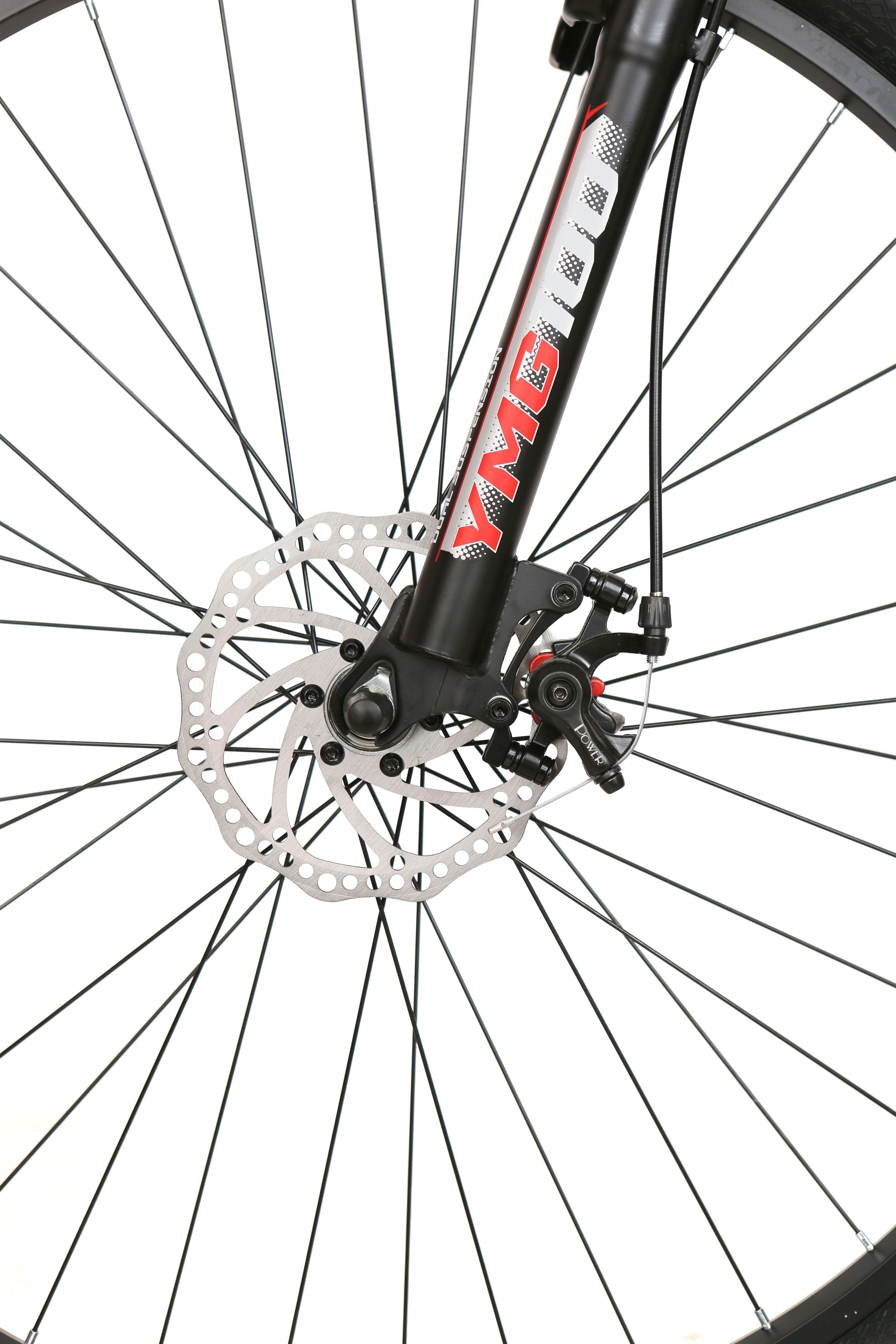 Bicicleta Phelton Aro 29-4