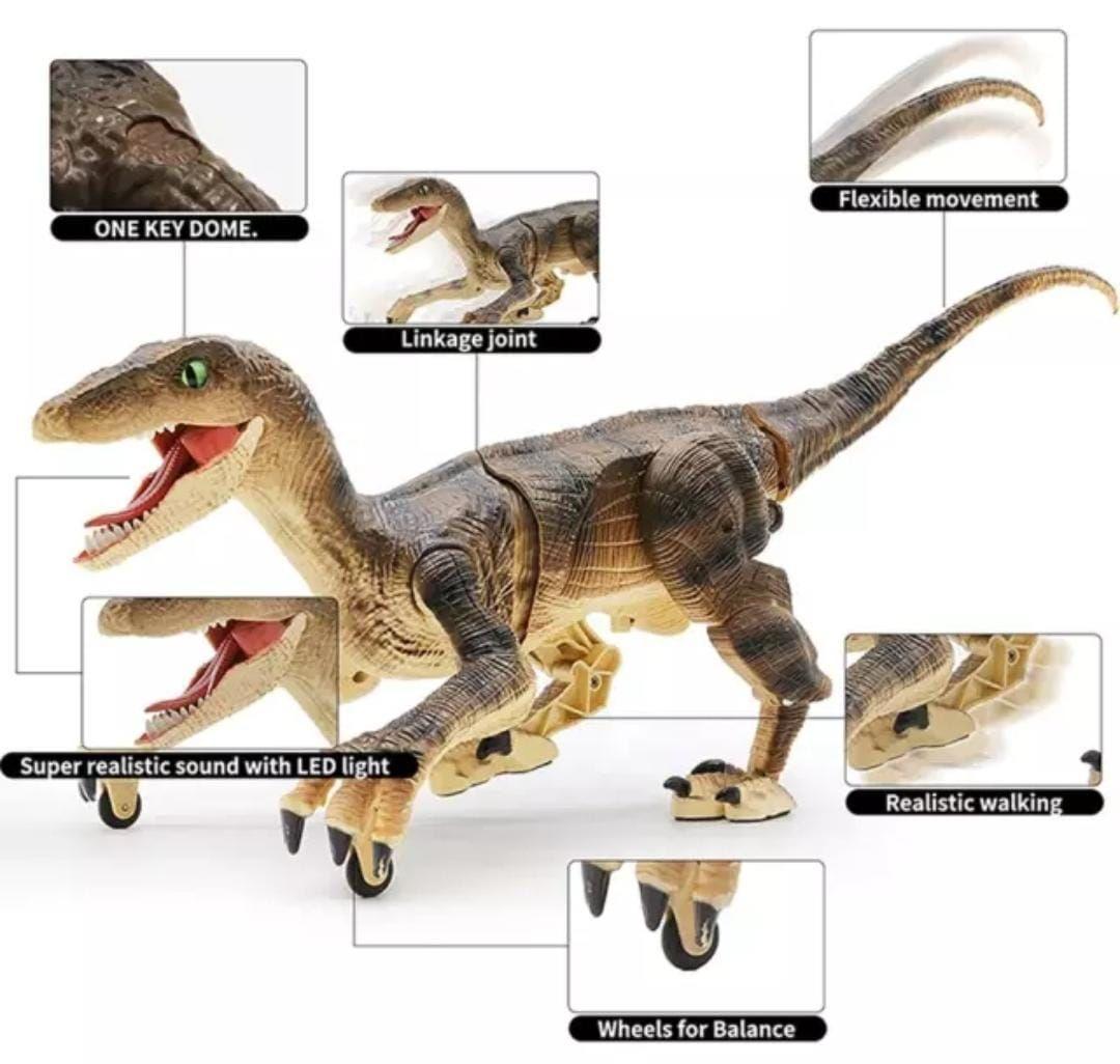 DINOSAURIO CONTROL REMOTO 2,4 GHZ. VELOCIRAPTOR RECARGABLE-5