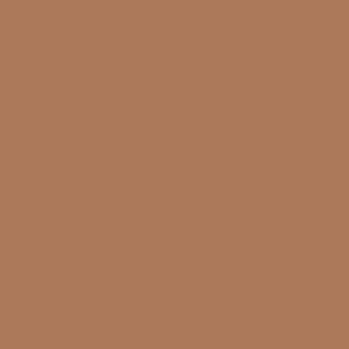 Dryko masa Vedatudo repara madera - Canela Oscuro - 400 gr.-2