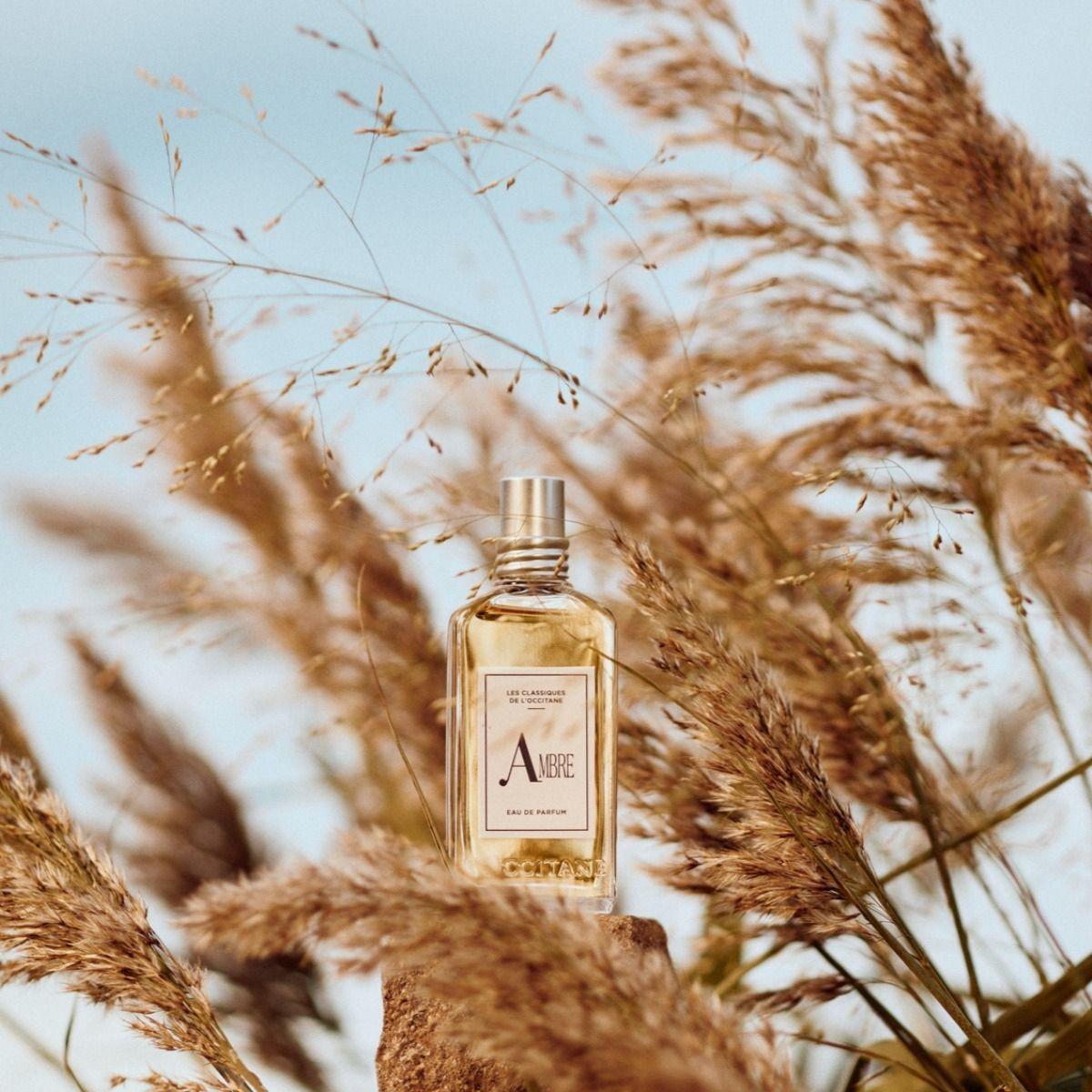 Les Classiques: Eau de Parfum Ambre-2