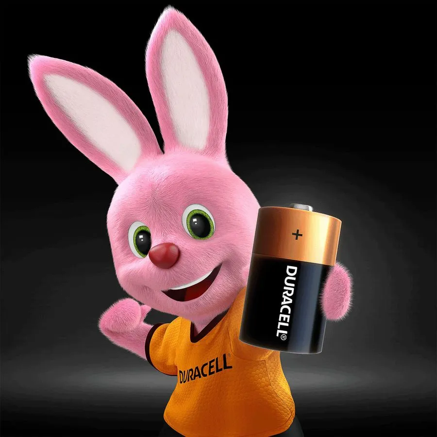 Pila Duracell Tipo D 2 Pilas Bateria Grande Dura Mas-2