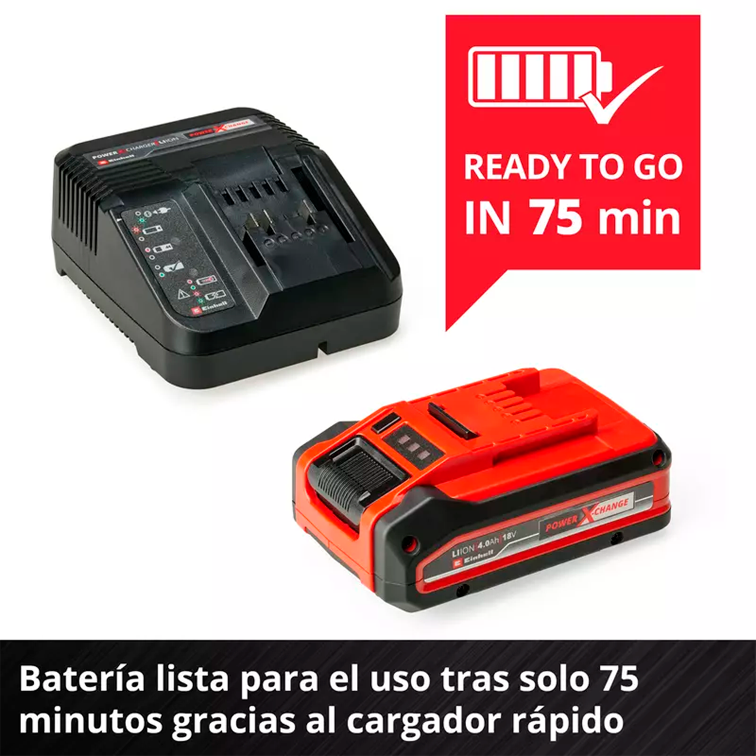 Kit Cargador y Bat. 4 AH Plus Power X-Change-2