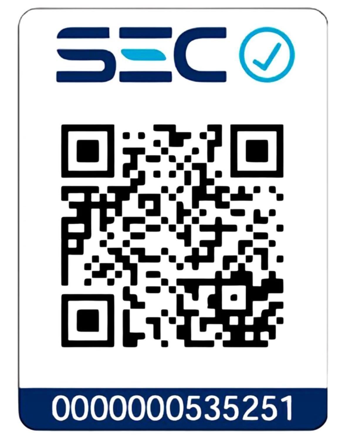 Kit Cortasetos Podador De Altura 22 20v Dewalt DCPH820M1-B2-4