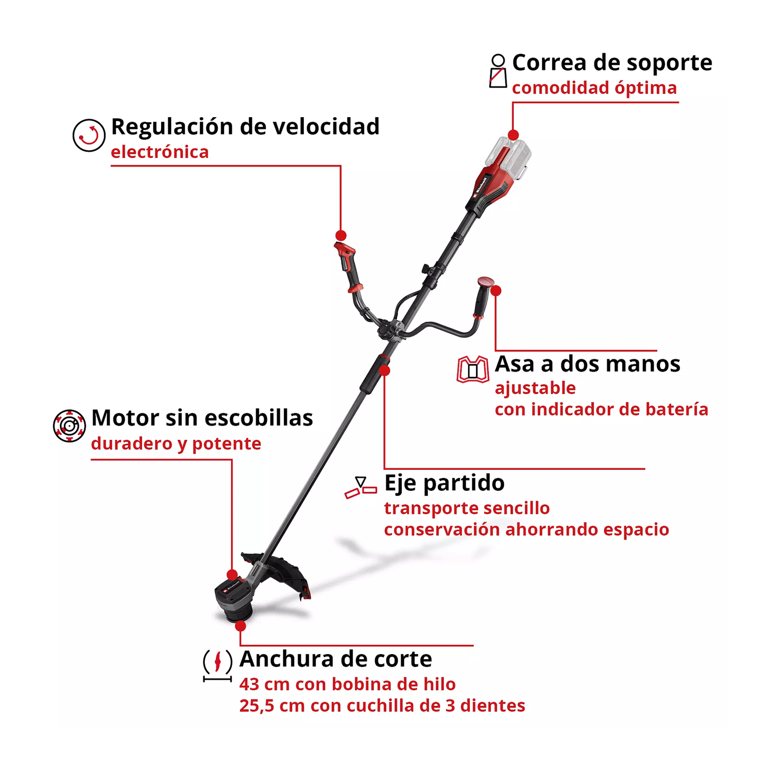 Desbrozadora Inal. 36V Einhell GP-BC 36/430 Li BL- Sin Baterías-6