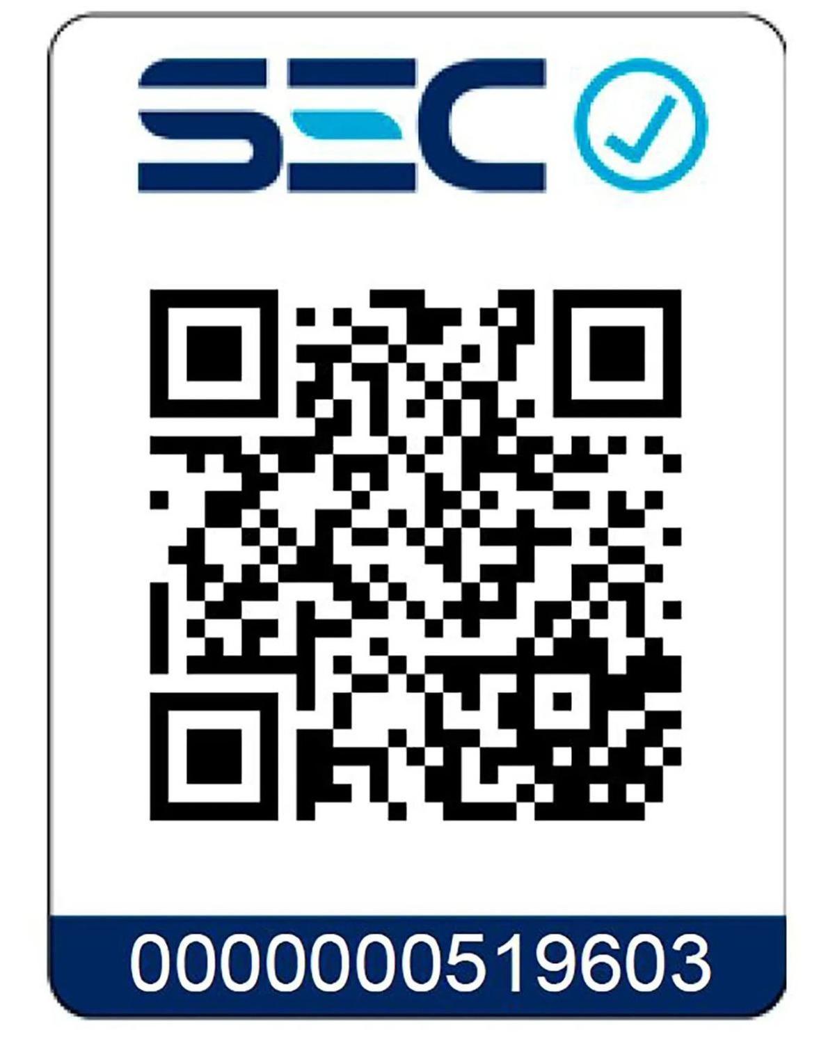 Aspiradora Vertical 2 en 1 Karcher VCL 1 Stick-7