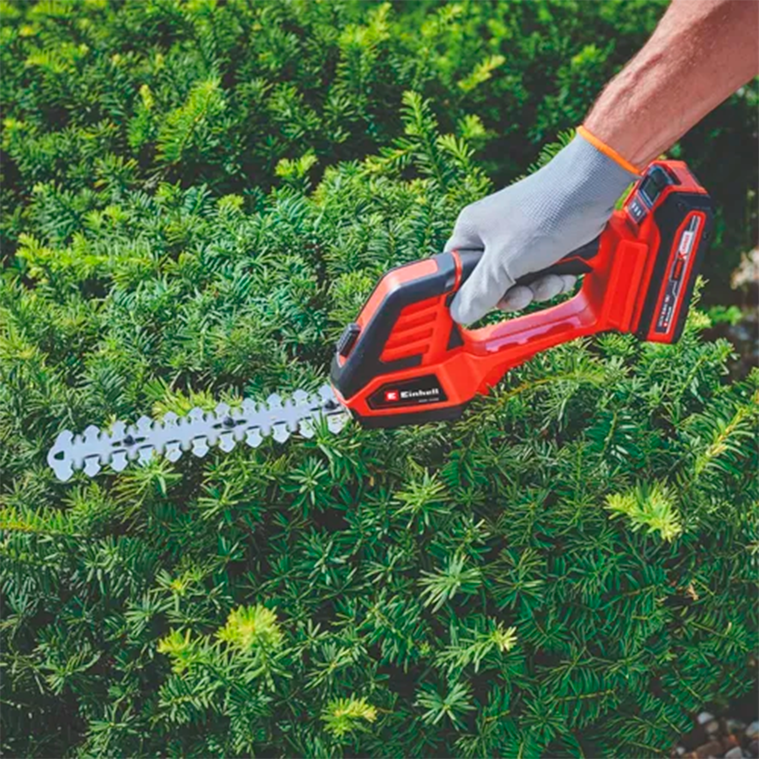 Kit Tijera y Recortabordes Inalámbrica GE-CG 18/100 + Carg y Batería 2,5ah-4