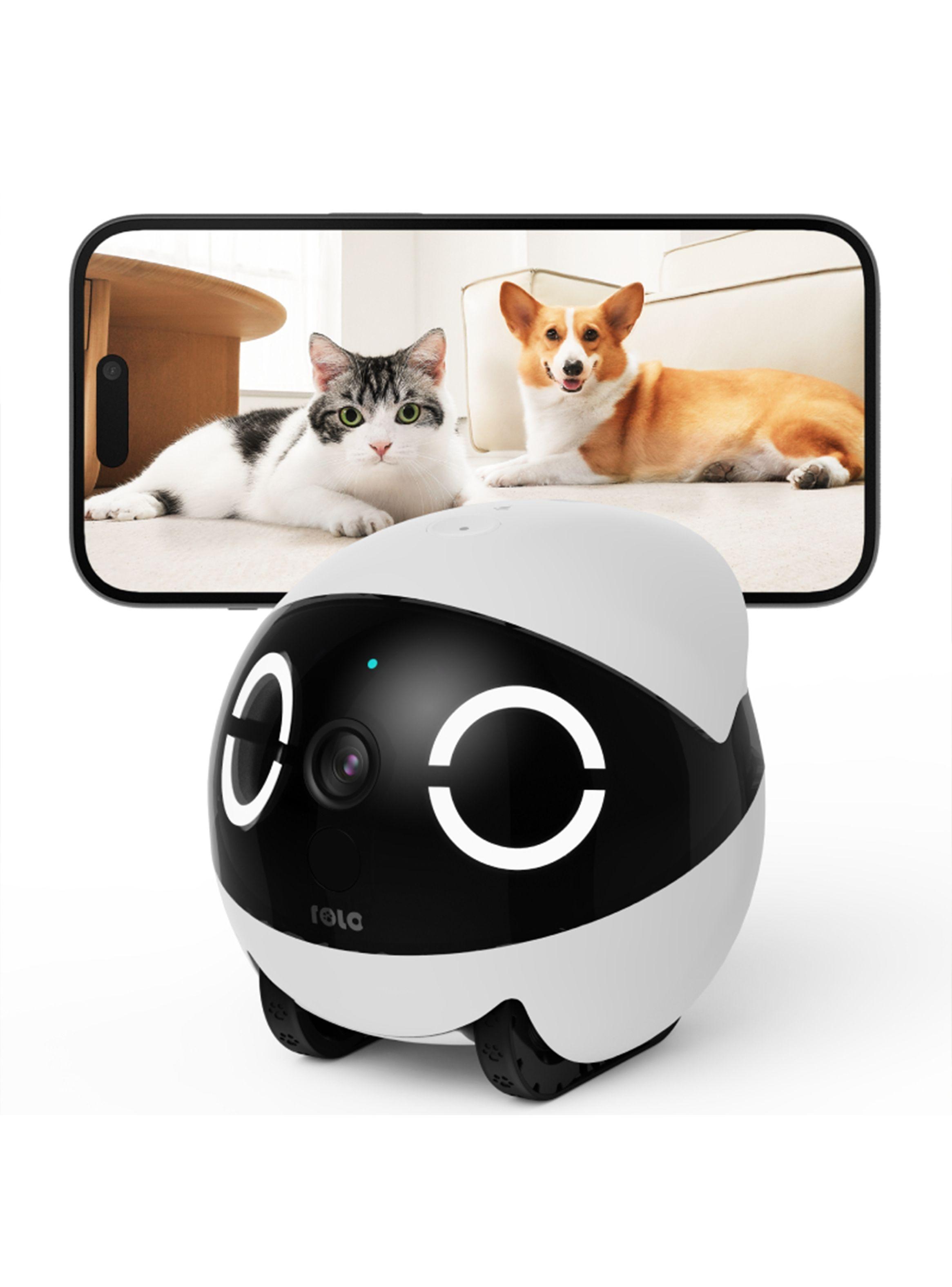 Rola Mini, cámara de seguridad móvil, wifi, para cuidar la casa, niños, adultos y mascotas.-0