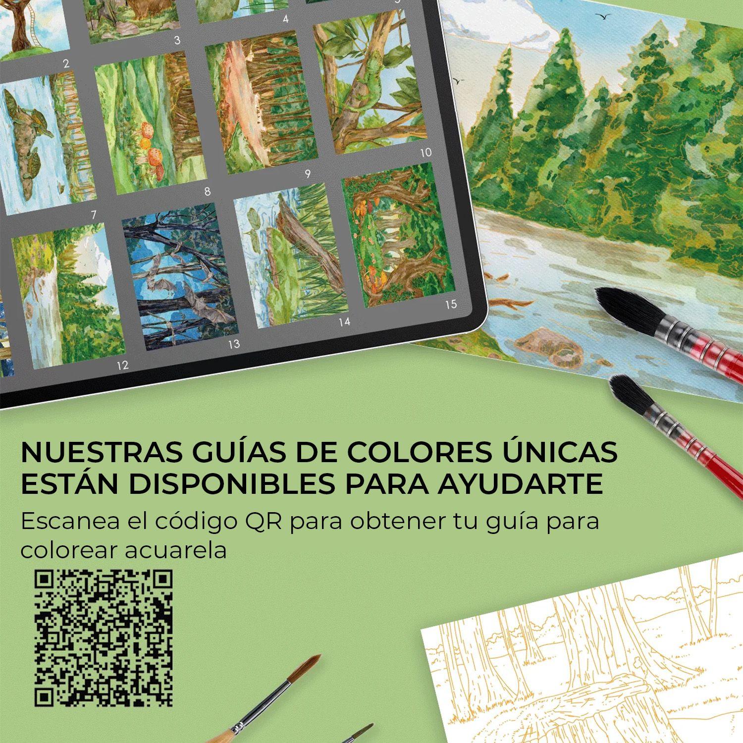 Libro Acuarela Colorear 100% Algodón 15 hojas A5 300g Bosque-4