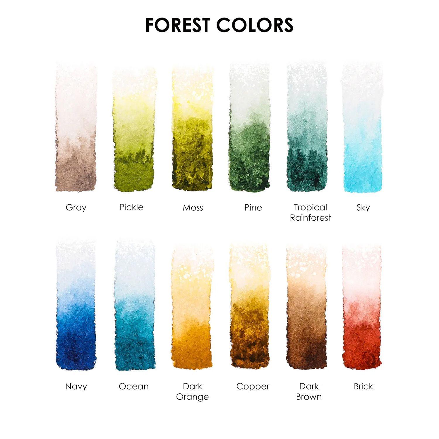 Grabie Club Box: Kit de Acuarela + Libro de Temática Bosque-2