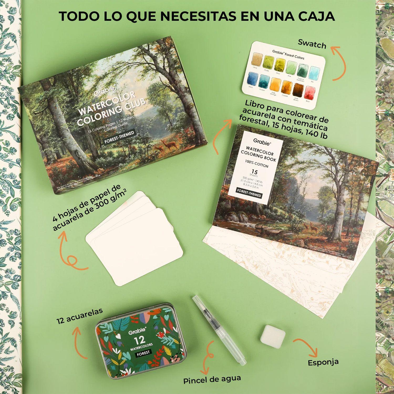 Grabie Club Box: Kit de Acuarela + Libro de Temática Bosque-4