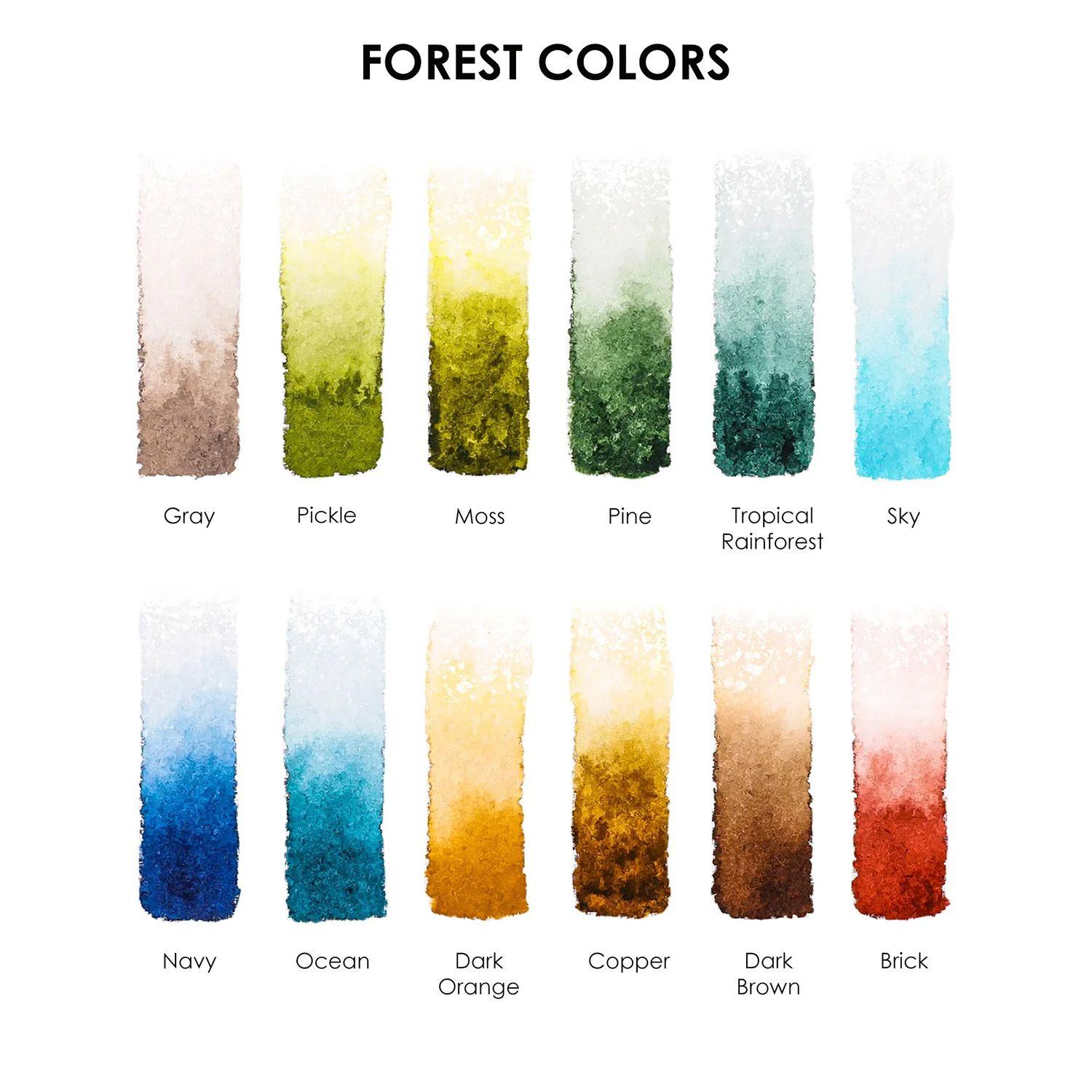 Grabie Set Acuarela de Bolsillo +Pincel 12 colores de Bosque-2