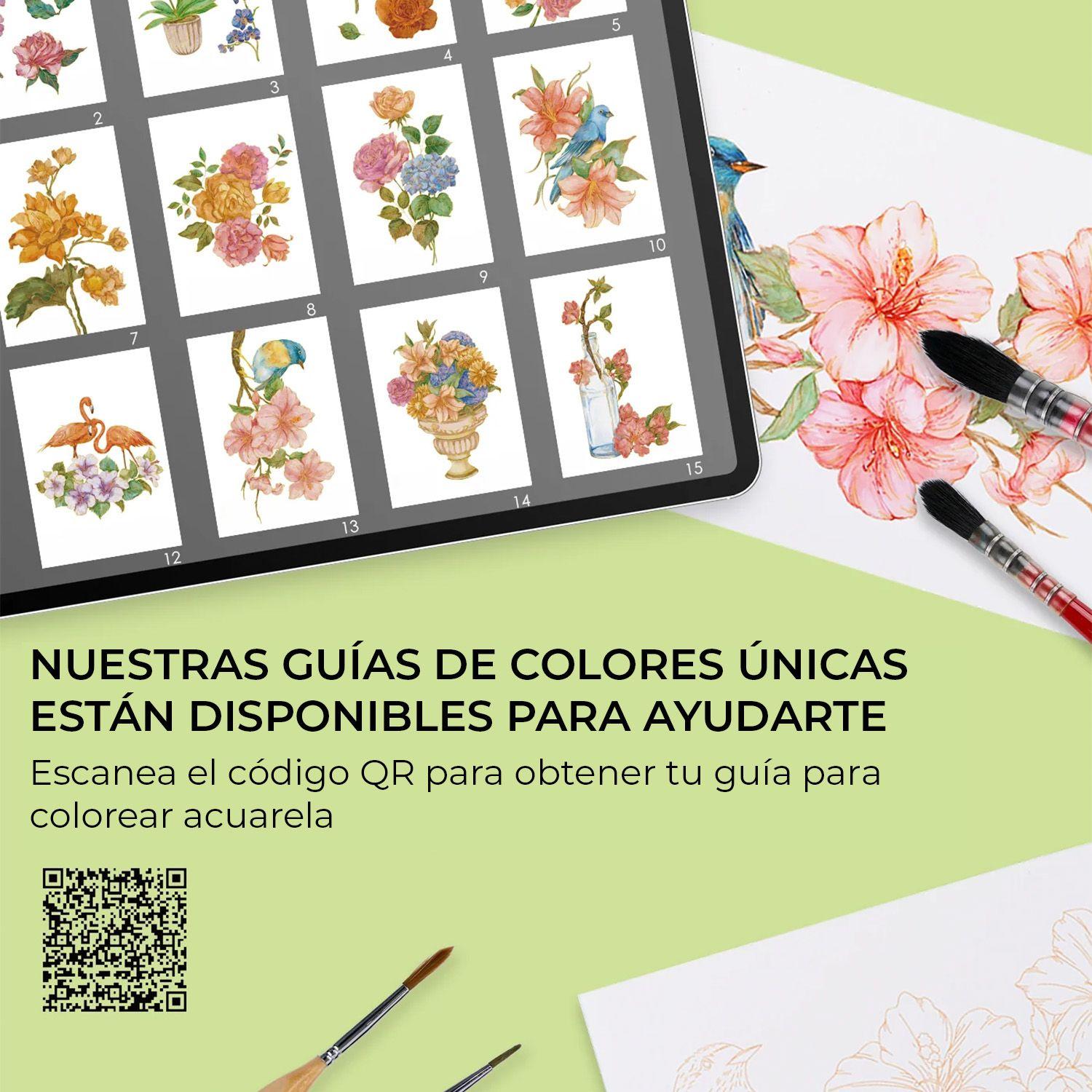 Grabie Club Box: Kit de Acuarela + Libro de Temática Floral-6