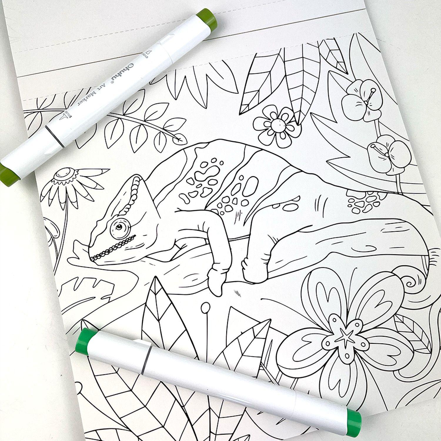 Libro para Colorear Magia Tropical por Deco Daniela-3