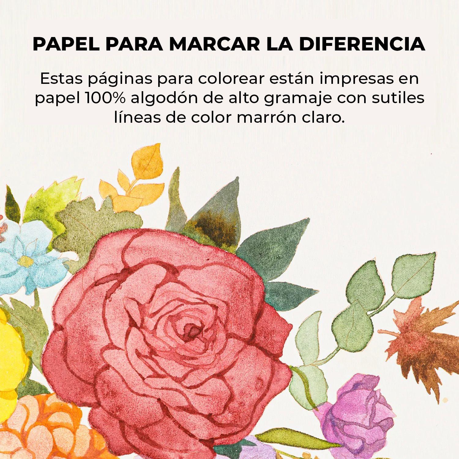 Grabie Club Box: Kit de Acuarela + Libro de Temática Otoño-3