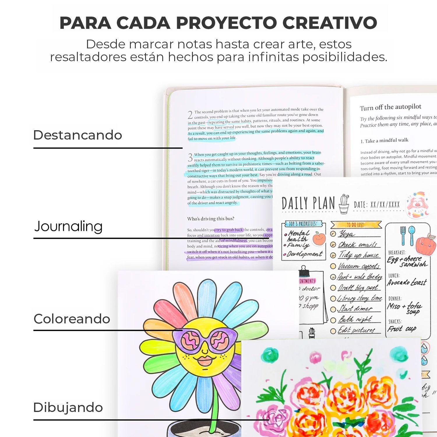 Grabie Set de 10 Destacadores Duomark 2 en 1, 20 colores-5