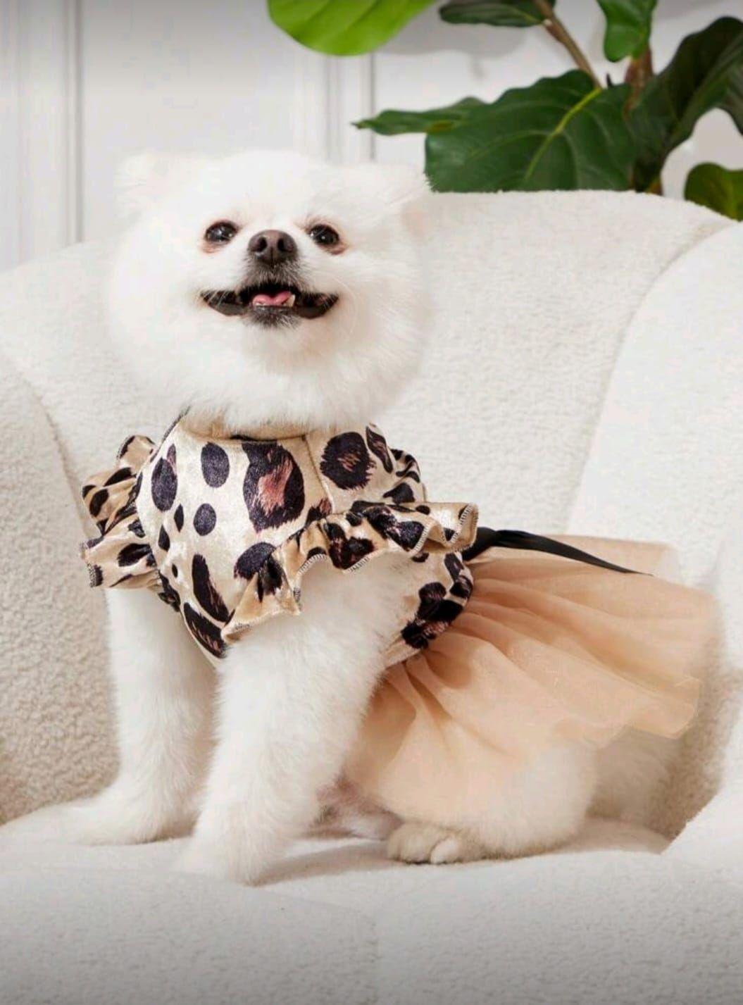 Vestido Animal Print para perros gatos conejos otros-1