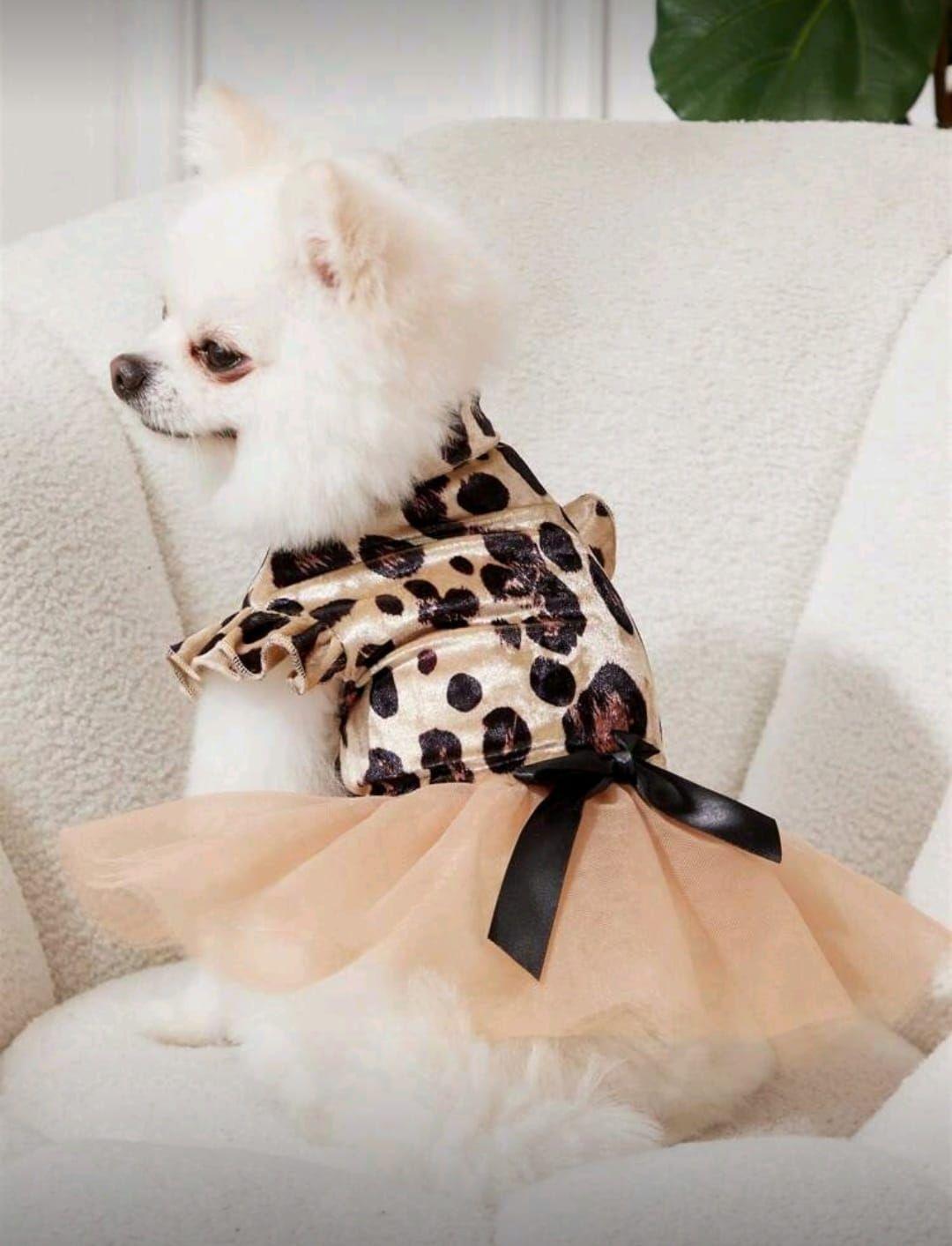 Vestido Animal Print para perros gatos conejos otros-2
