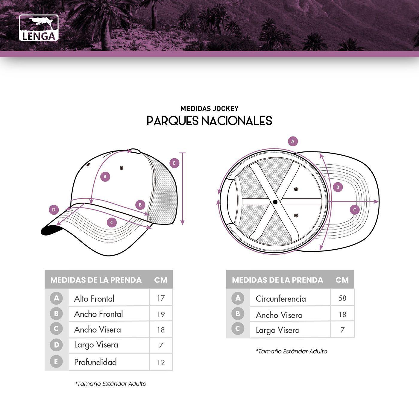 Jockey Gorros Trucker Canvas Parque Nacional La Campana Lenga®-6