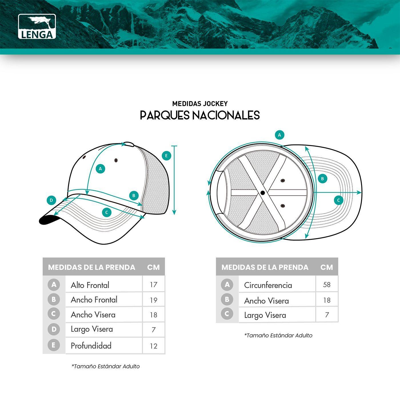 Jockey Gorros Trucker Canvas Parque Nacional Glaciares de Santiago Lenga®-5