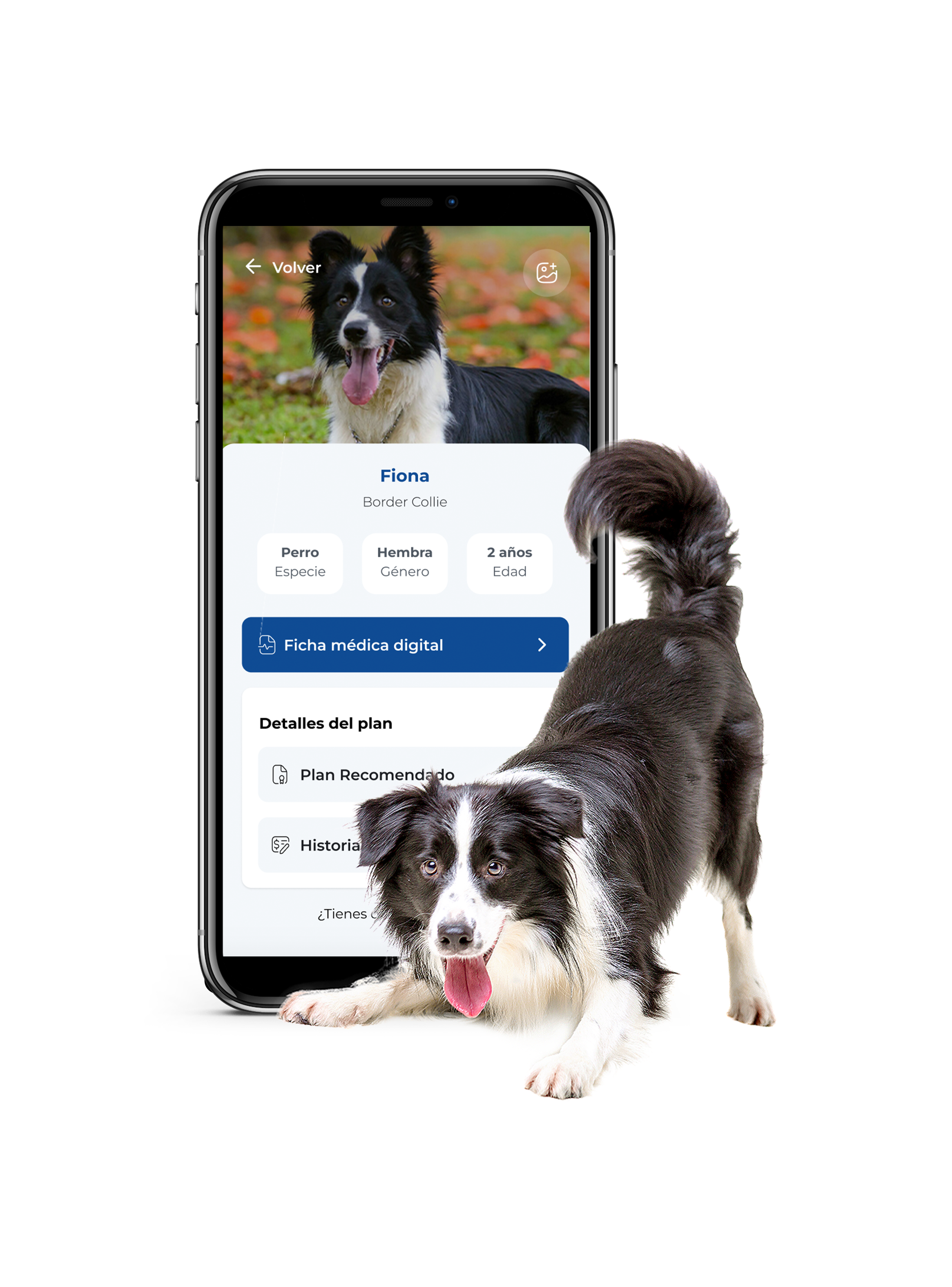 Plan Salud Digital Para Tu Perrito - Estandar Anual-0