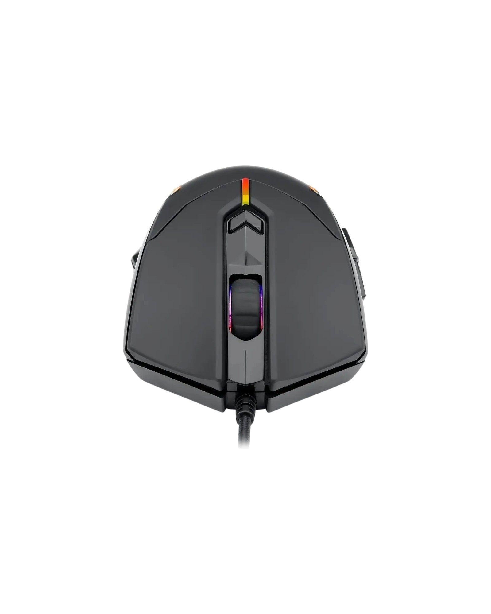 Centrophorus RGB M601RGB-2