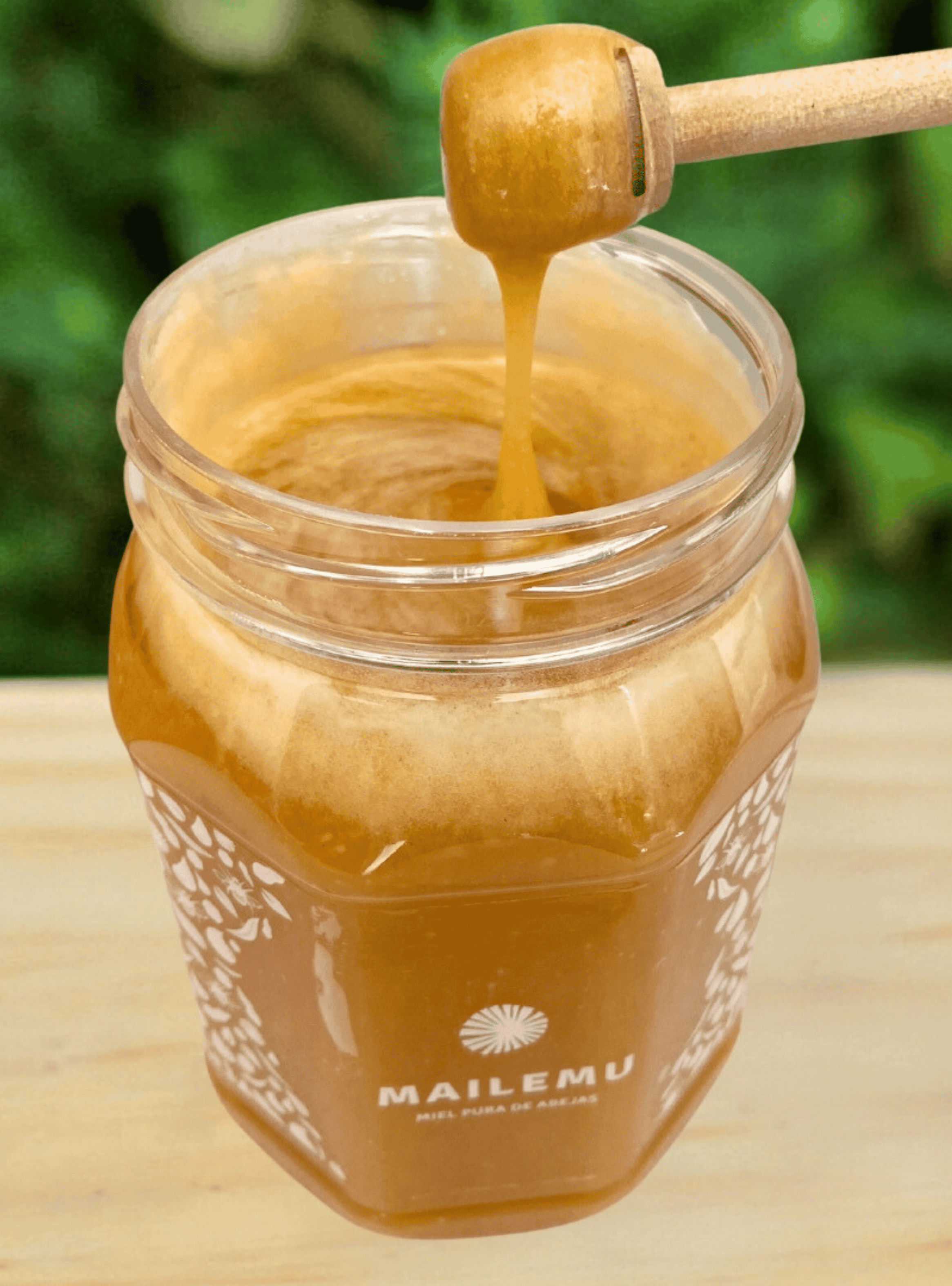 Miel Pura de Ulmo 1kg-2