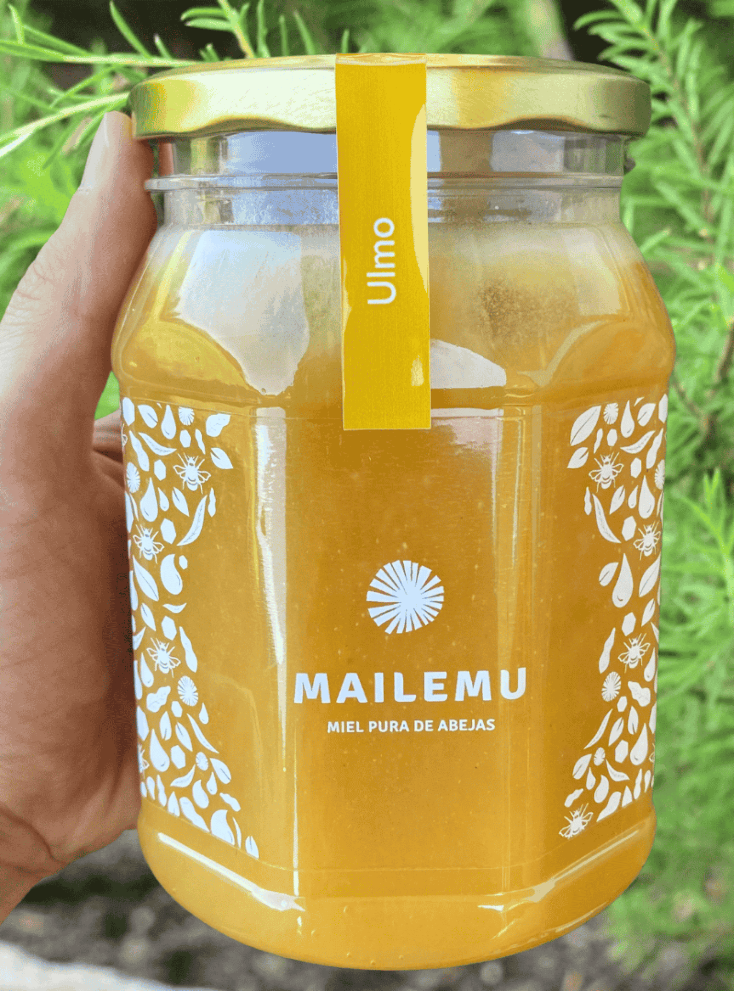 Pack Miel Pura: 2 Ulmo 2 Bosque Nativo 1kg-4
