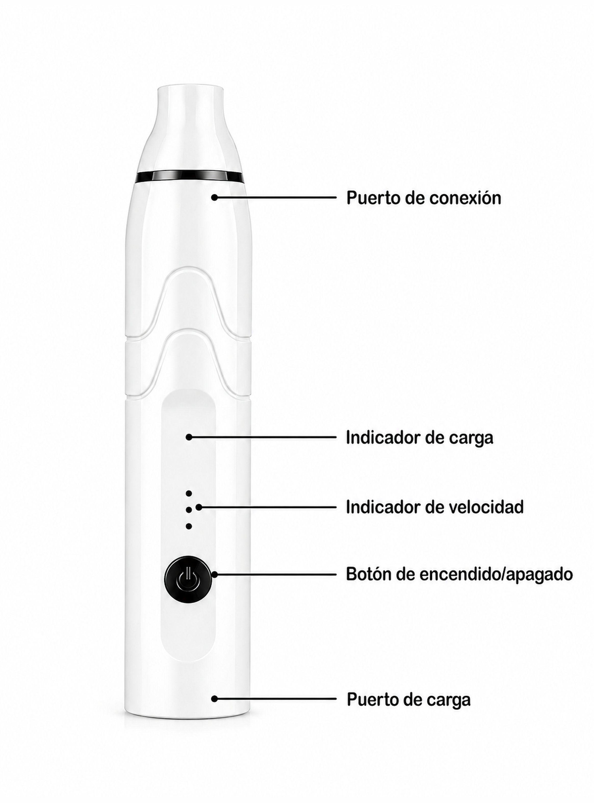 Espumador De Leche Recargable 3 Velocidades Doble Cabezal-6