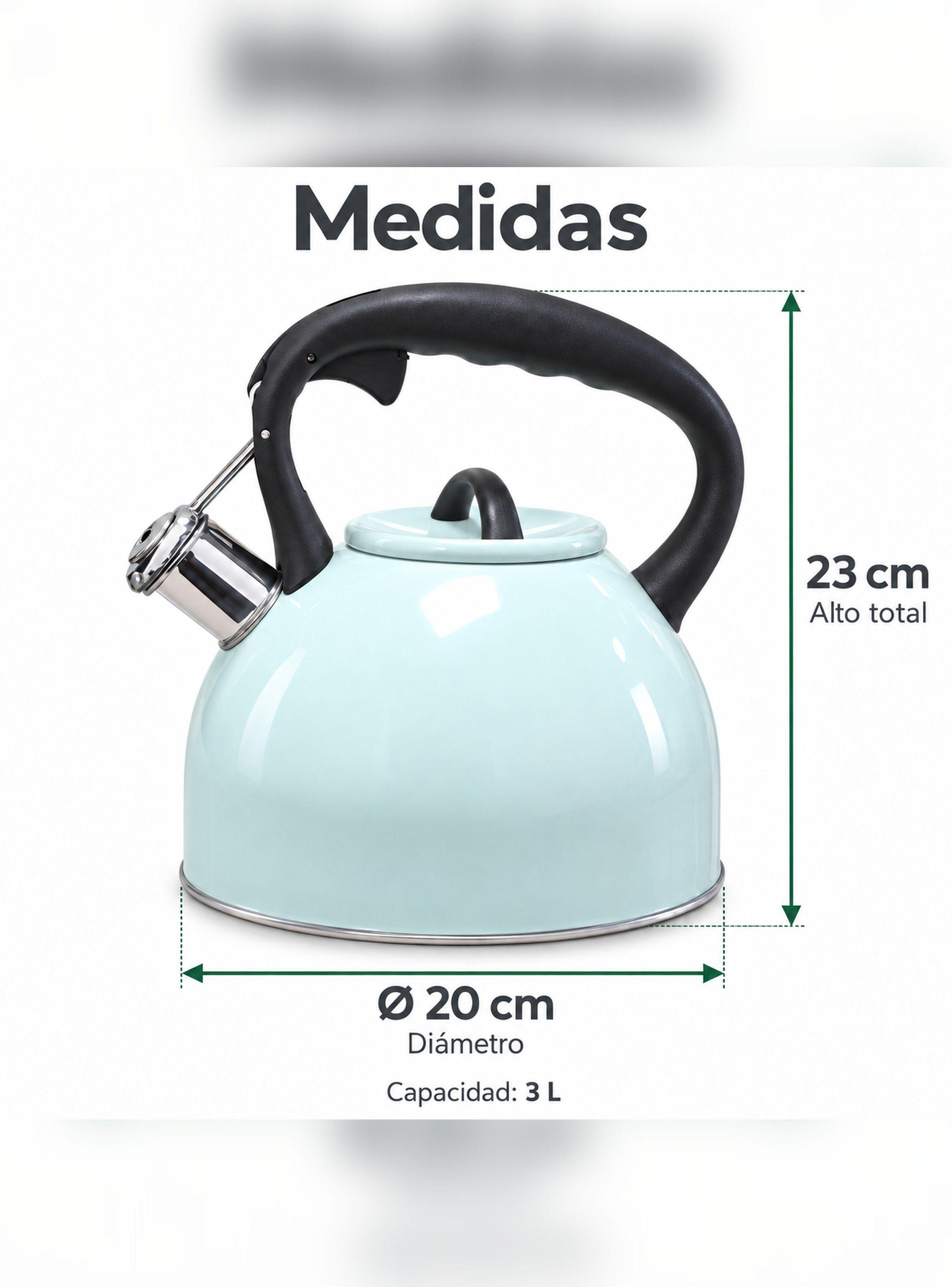 Tetera Wens Selene 3 Litros Silbato Acero Inoxidable Menta-5