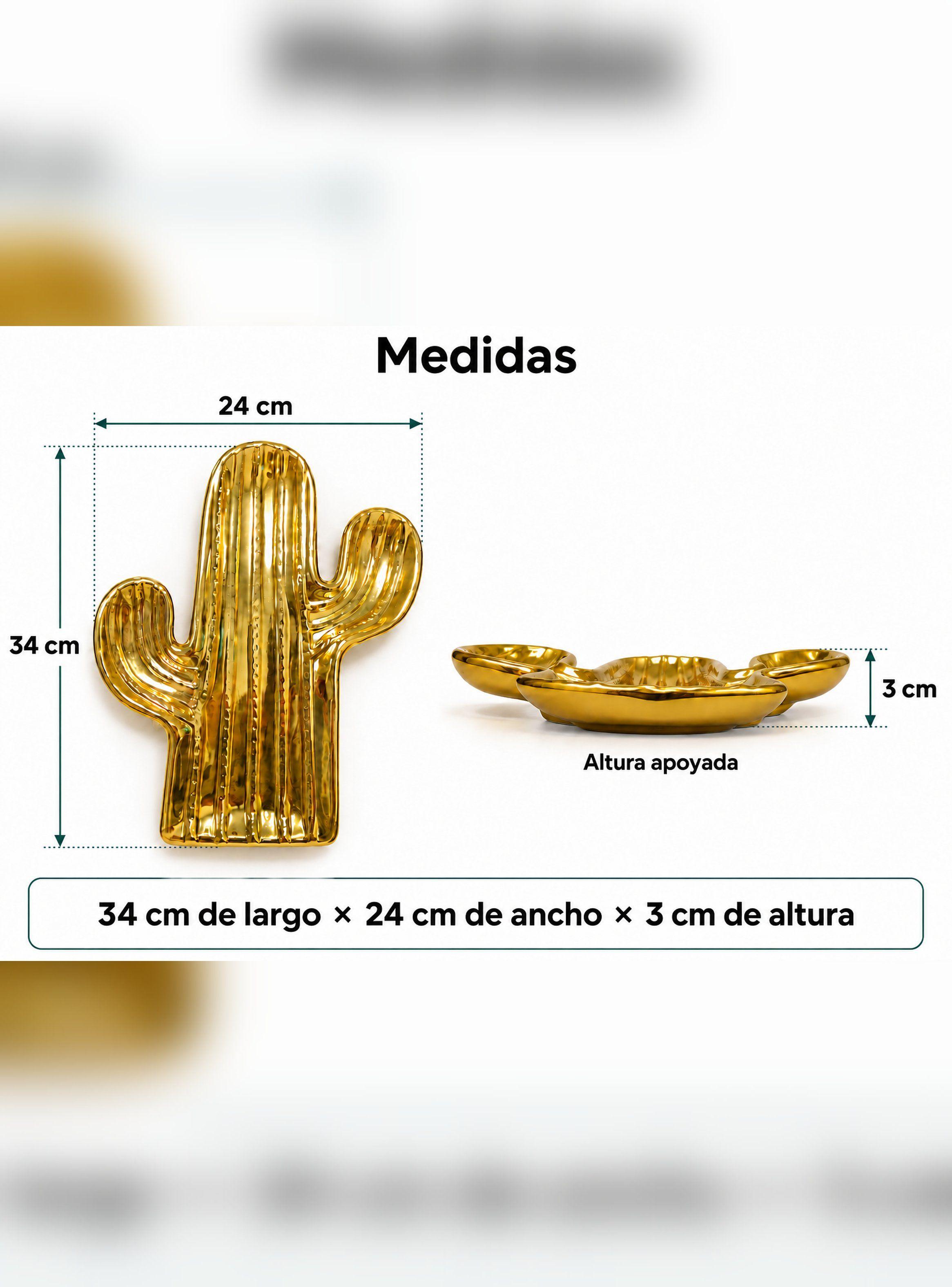 Bandeja Decorativa Cactus de Cerámica Brillante para Joyas-4