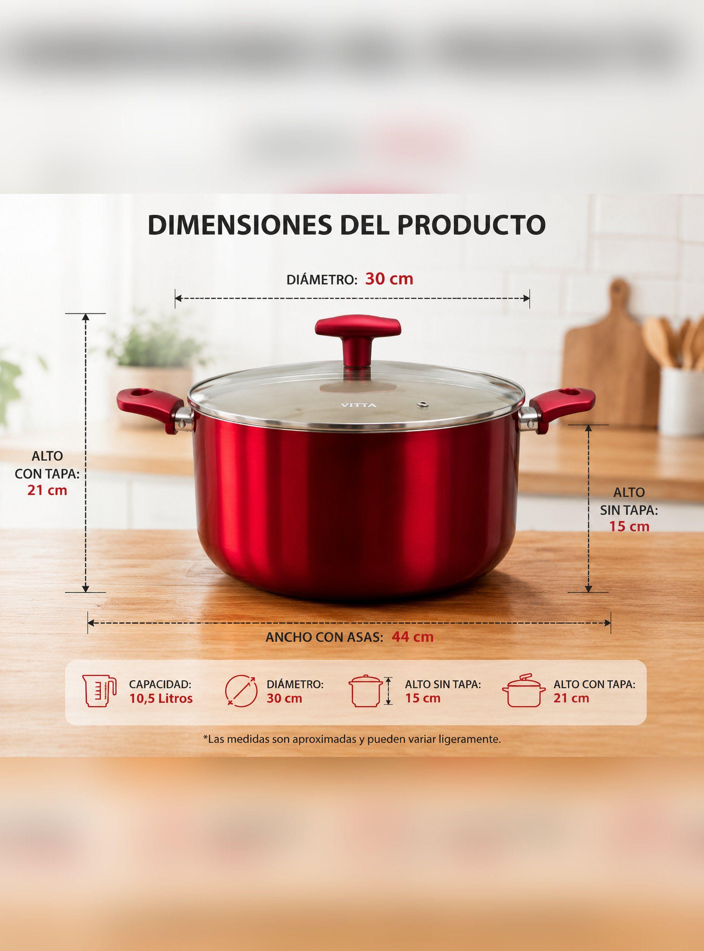 Olla Cacerola 30 CM 10,5L Con Tapa Modelo Rosso Marca Vitta-9
