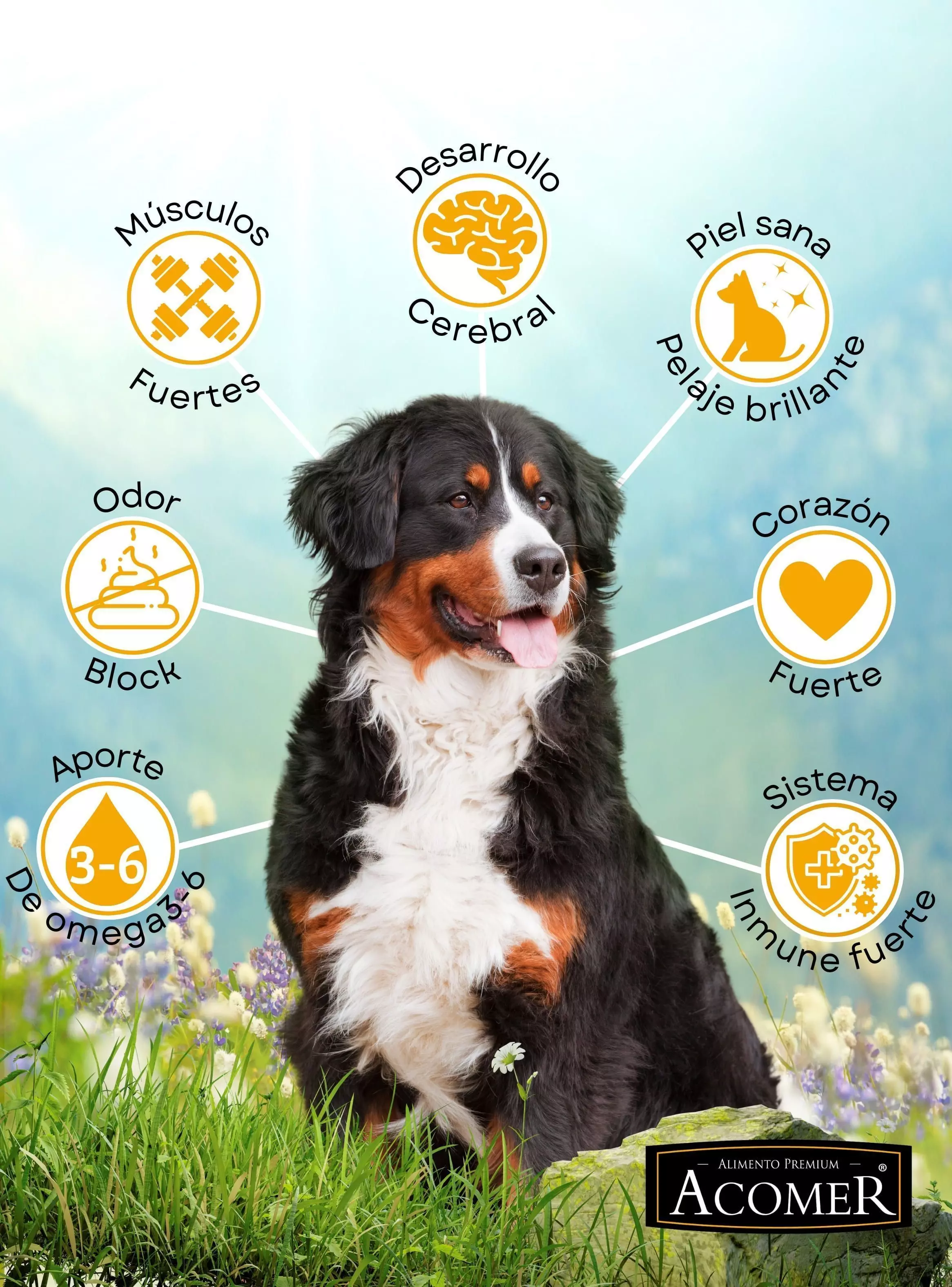 Alimento Acomer perro Adulto 10kg-2