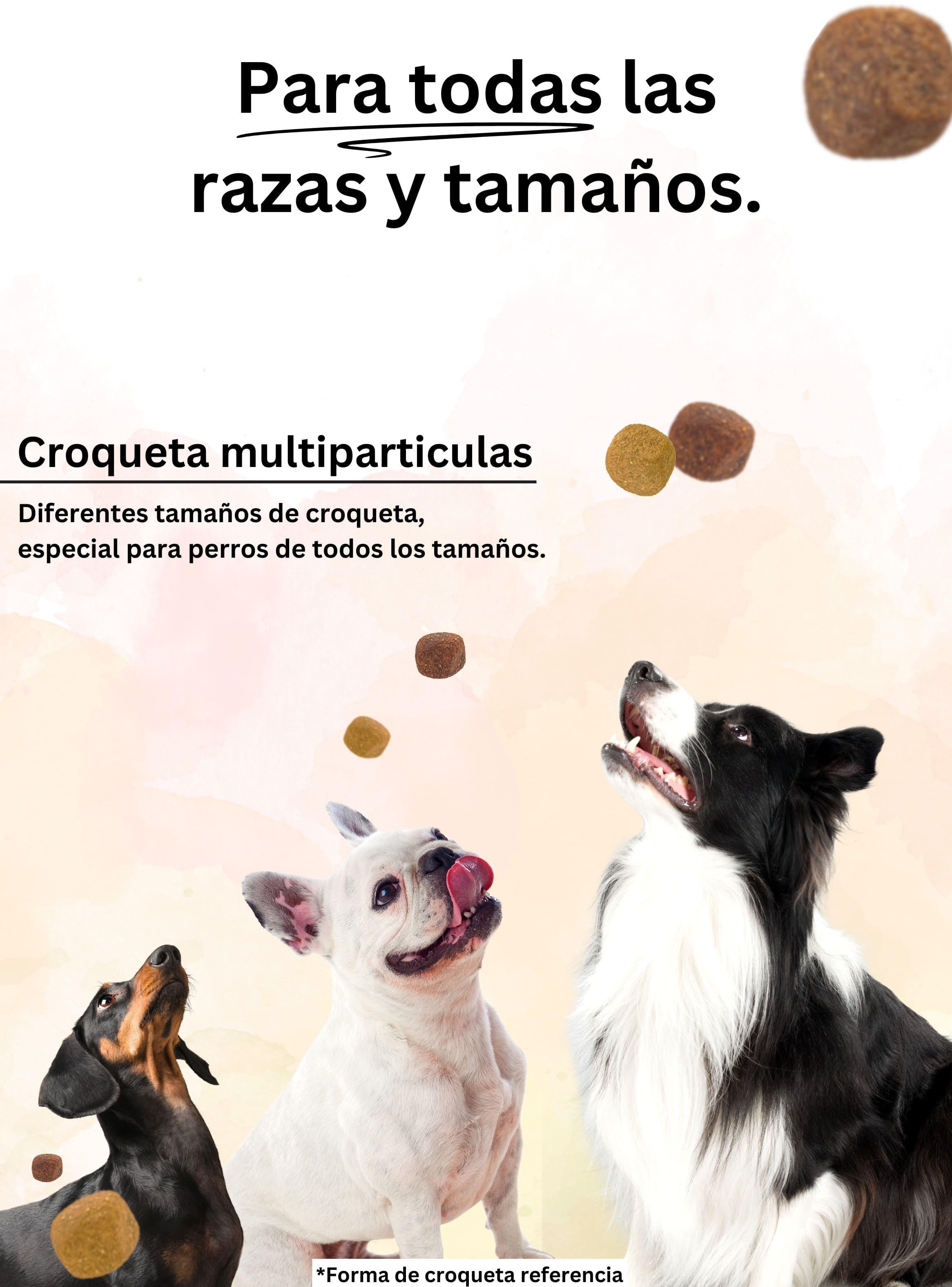 Alimento Acomer naturals perro Adulto 22kg-5