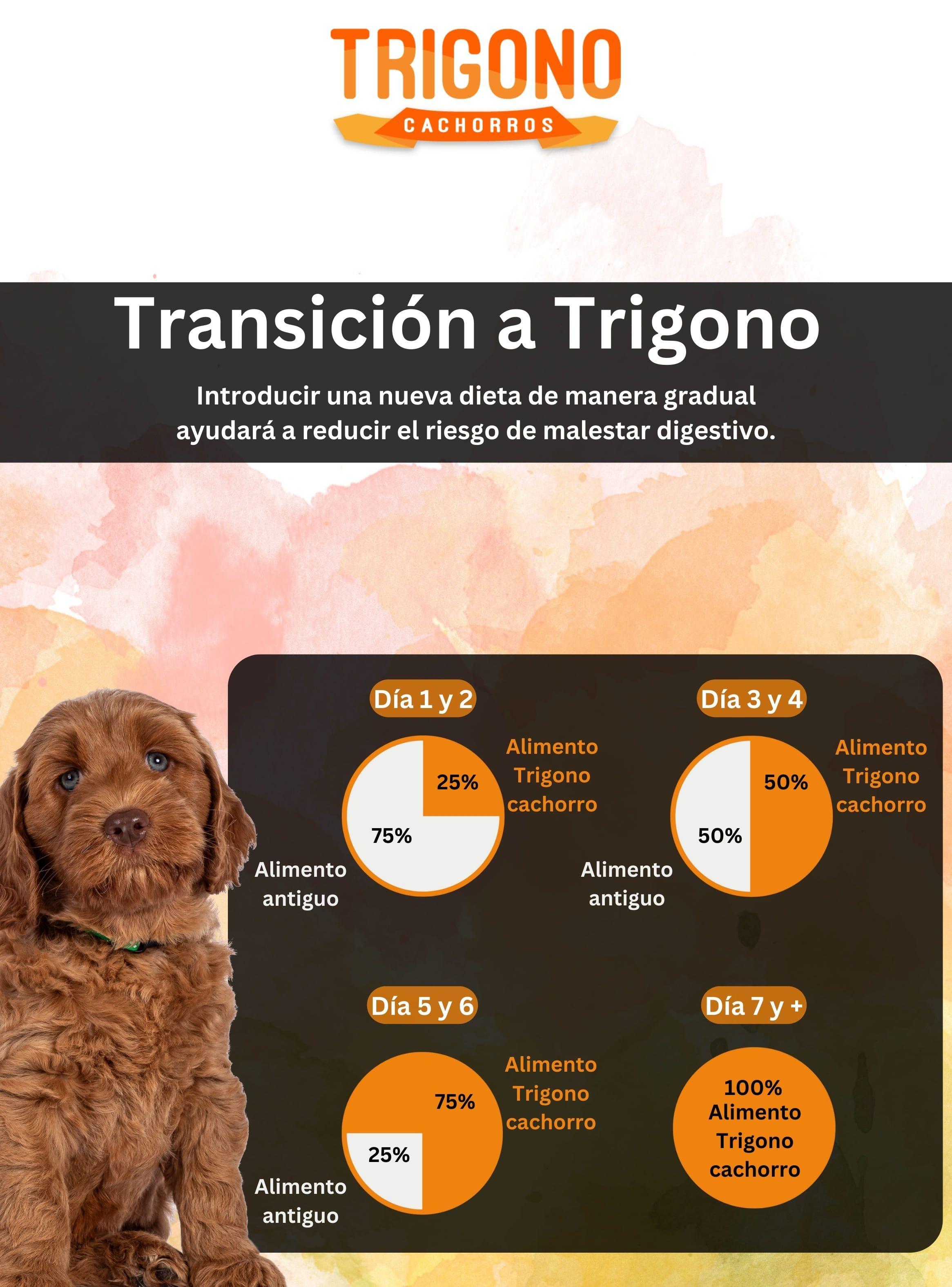 Alimento Trigono perro cachorro 10Kg-4