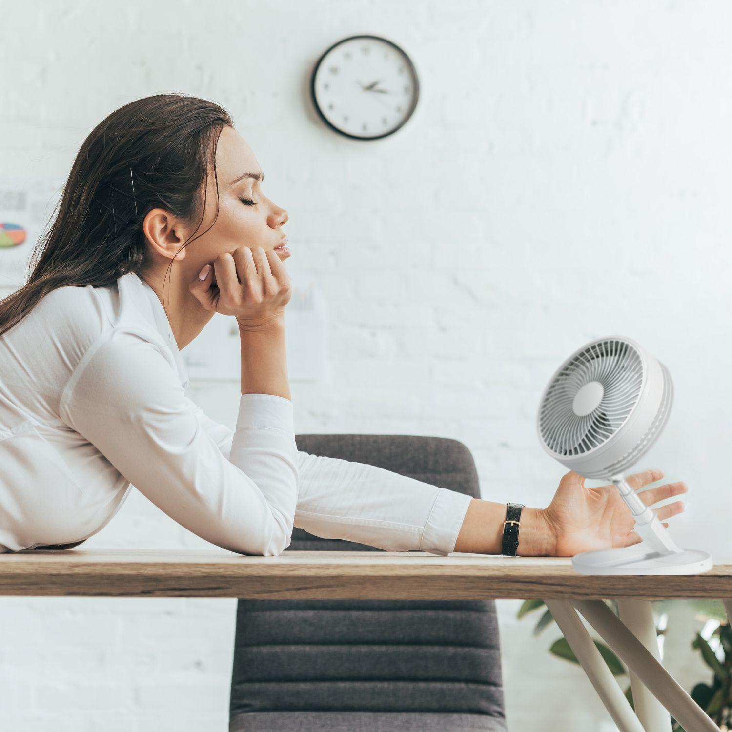 Polar Breeze Fan-6