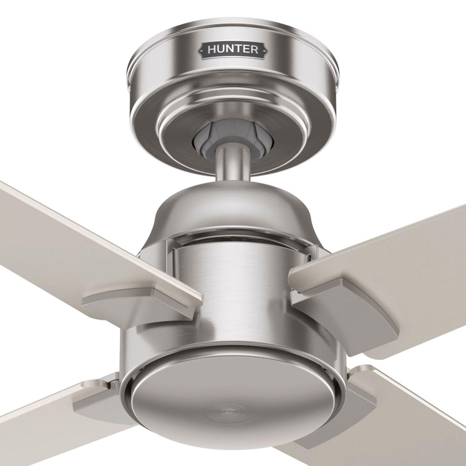 VENTILADOR TECHO HUNTER CORDELIA NIQUEL-3