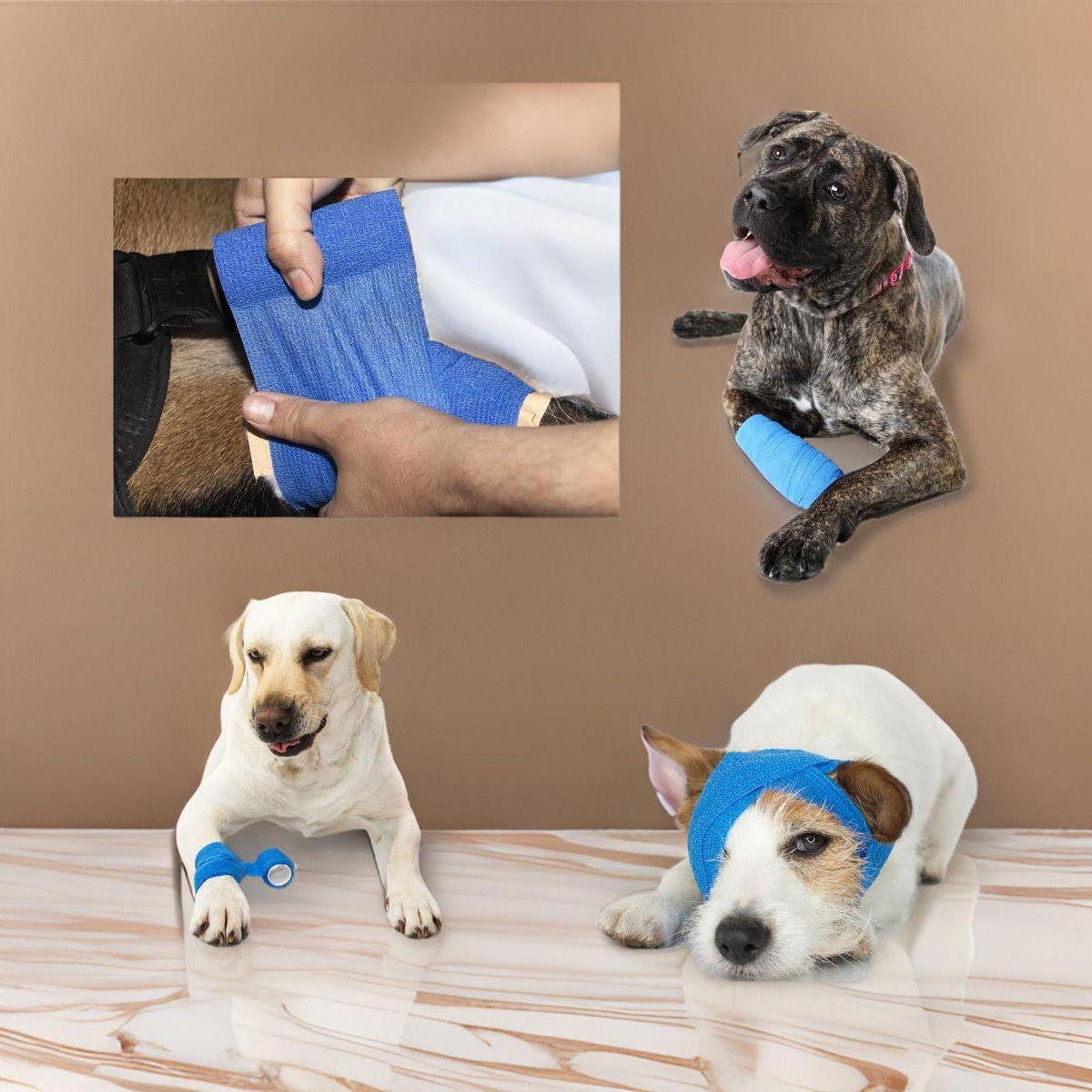 Set 6 Venda Coban Elastica Adhesiva Medicinal 5cmx4,5M Lau-7