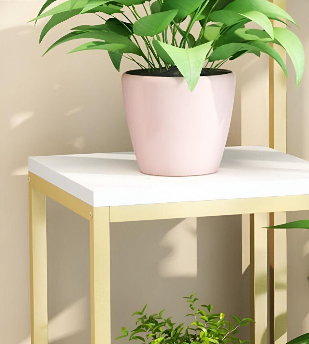 Porta Maceta Soporte Plantas 2 Niveles Exhibición 100cm Jhn-4